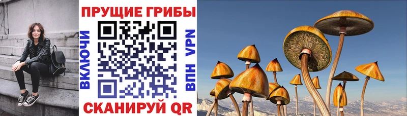 Галлюциногенные грибы GOLDEN TEACHER Кадников