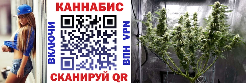МАРИХУАНА AK-47  площадка клад  Кадников  наркота 